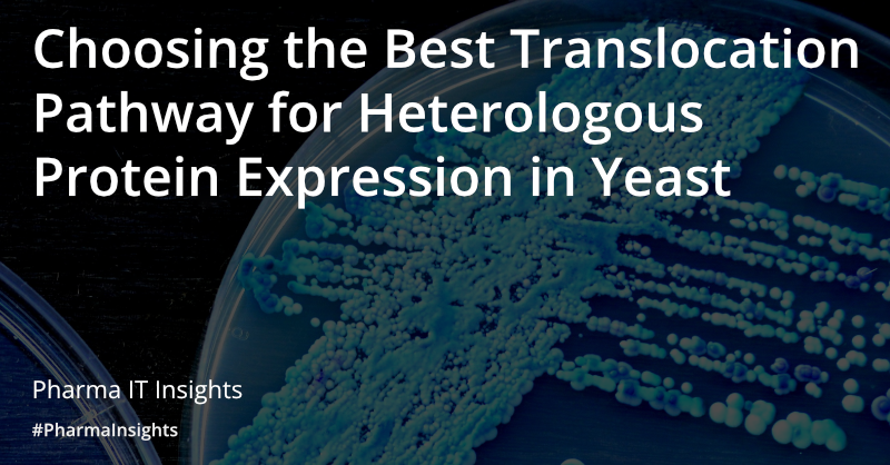 Choosing the best translocation pathway for heterologous protein expression in yeast 